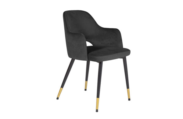 Dianna dining chair - Image 12