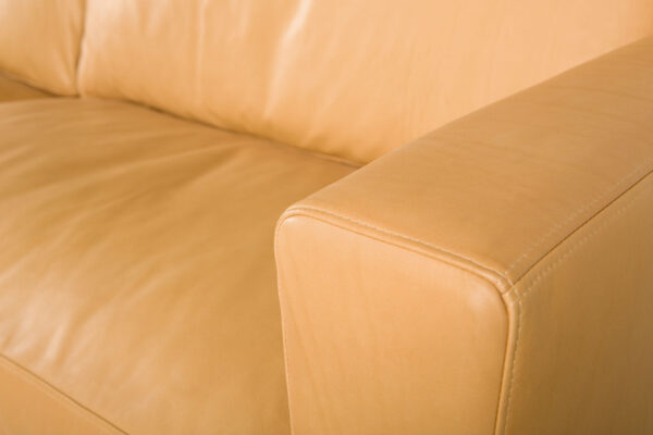 Muse Sofa in Grade Touch Leather - Image 4