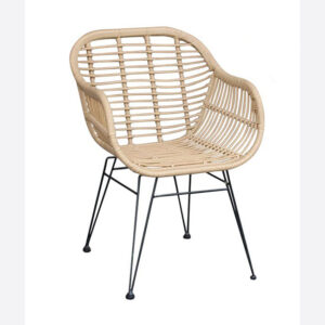 Leyia with Armrest Dining Chair
