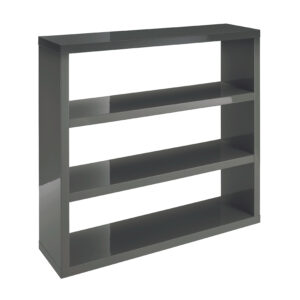 North Bookcase