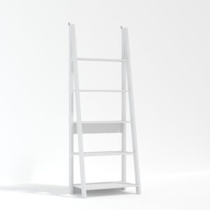 Valley Ladder Bookcase