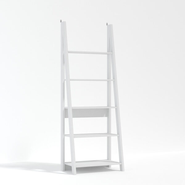 Valley Ladder Bookcase