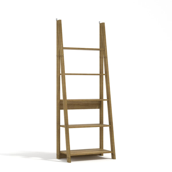 Valley Ladder Bookcase - Image 3