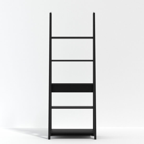 Valley Ladder Bookcase - Image 5